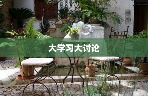 大学习大讨论