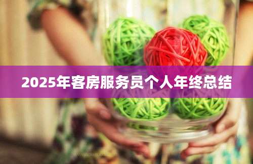 2025年客房服务员个人年终总结