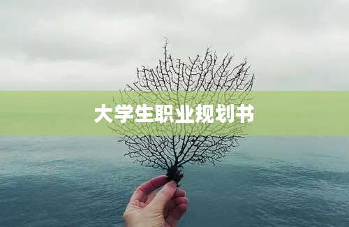 大学生职业规划书