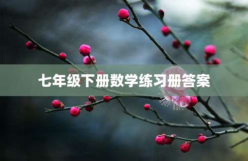 七年级下册数学练习册答案