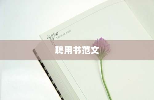 聘用书范文
