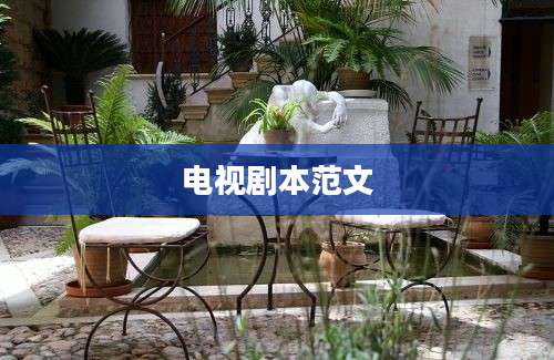 电视剧本范文