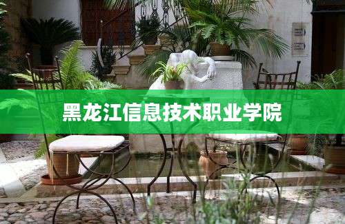 黑龙江信息技术职业学院