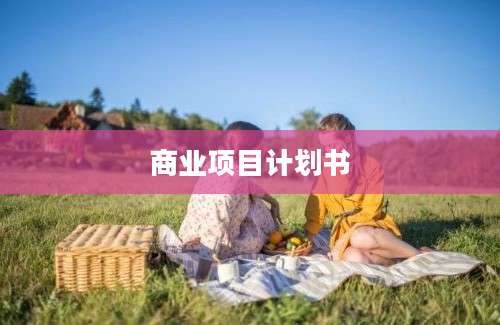 商业项目计划书