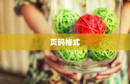 页码格式