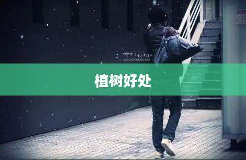 植树好处
