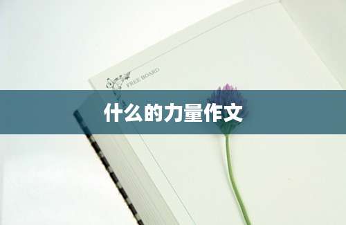 什么的力量作文