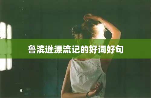 鲁滨逊漂流记的好词好句