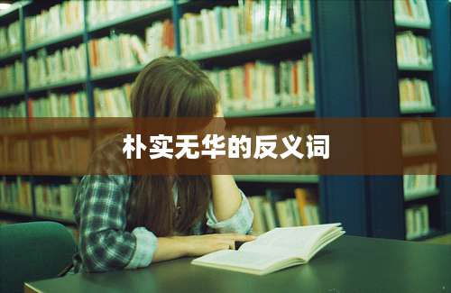 朴实无华的反义词