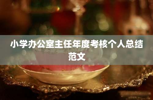 小学办公室主任年度考核个人总结范文