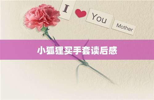 小狐狸买手套读后感