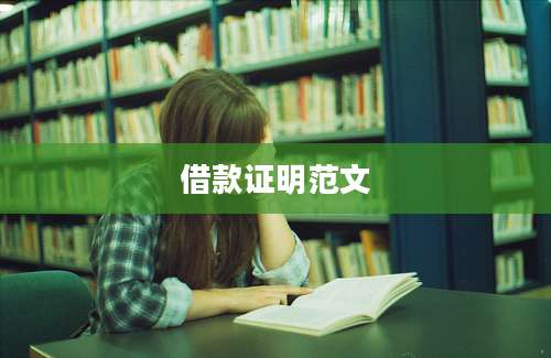 借款证明范文