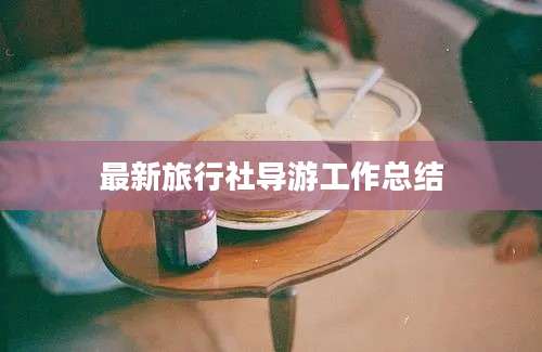 最新旅行社导游工作总结