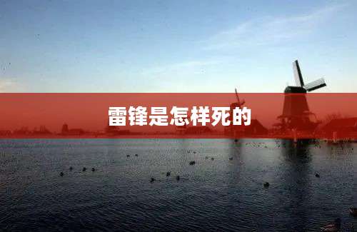 雷锋是怎样死的