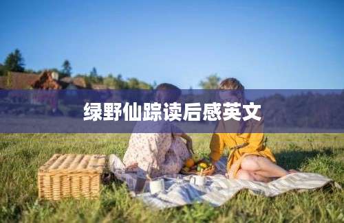 绿野仙踪读后感英文