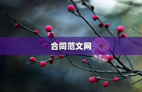 合同范文网