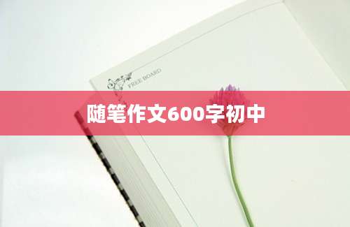 随笔作文600字初中