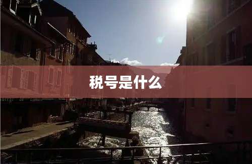 税号是什么