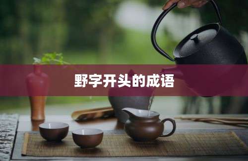 野字开头的成语