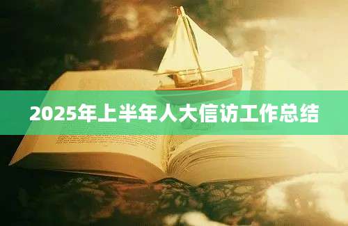 2025年上半年人大信访工作总结