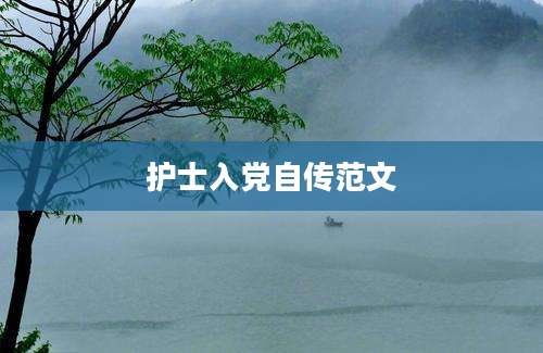 护士入党自传范文