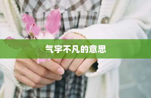 气宇不凡的意思
