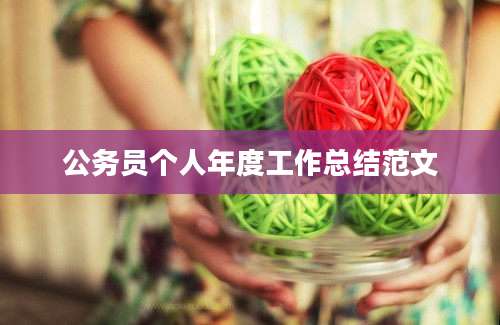 公务员个人年度工作总结范文