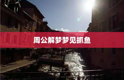 周公解梦梦见抓鱼