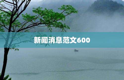 新闻消息范文600