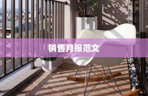 销售月报范文