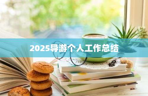 2025导游个人工作总结