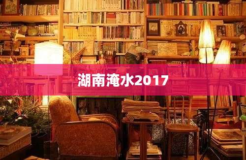 湖南淹水2017