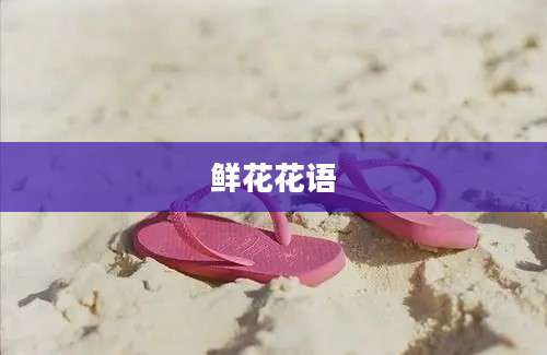鲜花花语