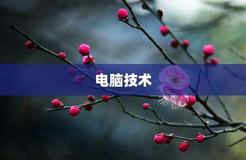 电脑技术