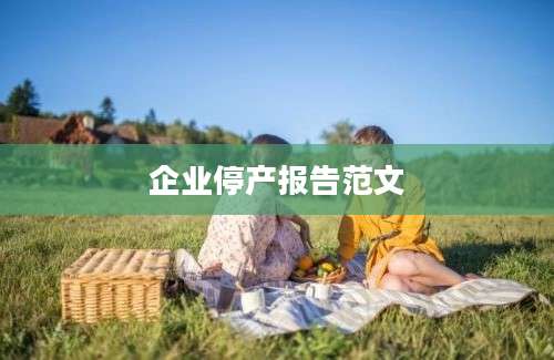 企业停产报告范文