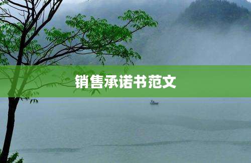 销售承诺书范文