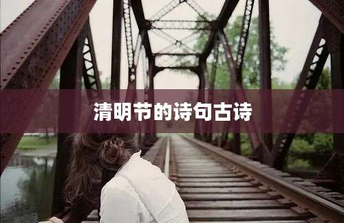 清明节的诗句古诗