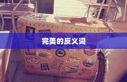 完美的反义词