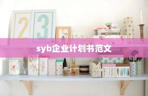 syb企业计划书范文