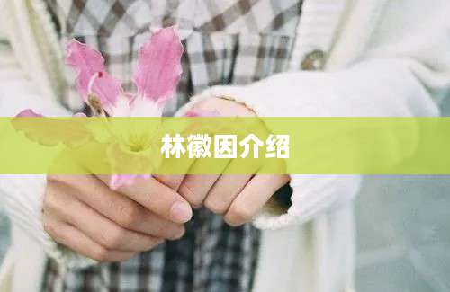 林徽因介绍