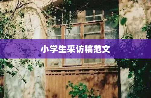 小学生采访稿范文