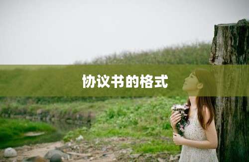协议书的格式