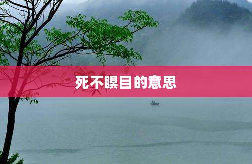 死不瞑目的意思