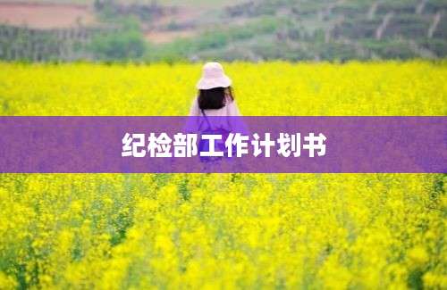 纪检部工作计划书