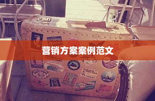 营销方案案例范文