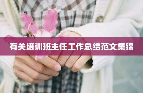 有关培训班主任工作总结范文集锦