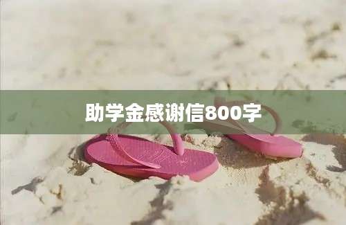 助学金感谢信800字
