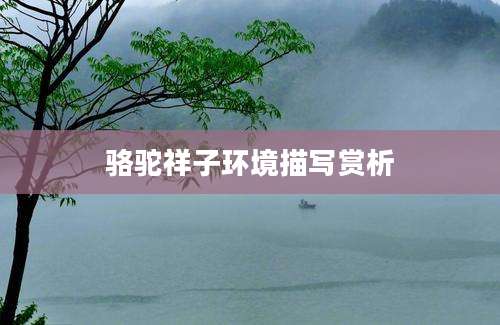 骆驼祥子环境描写赏析