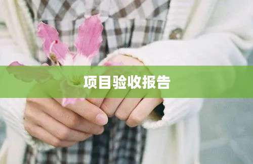 项目验收报告