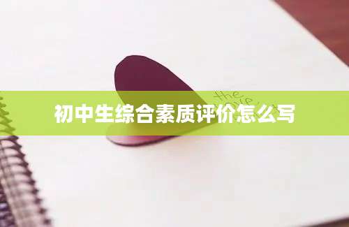 初中生综合素质评价怎么写